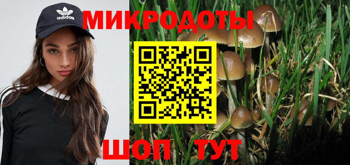 Галлюциногенные грибы Psilocybe  Вход с VPN  Гусев 